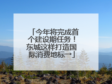 今年将完成首个建设期任务！东城这样打造国际消费地标→