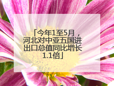 今年1至5月，河北对中亚五国进出口总值同比增长1.1倍