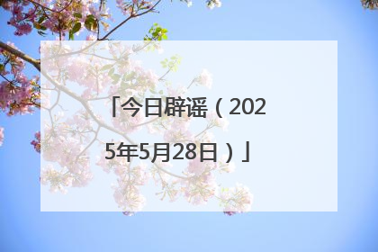 今日辟谣(2025年5月28日)