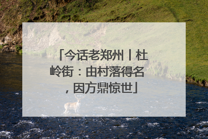 今话老郑州丨杜岭街：由村落得名，因方鼎惊世