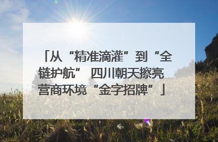 从“精准滴灌”到“全链护航” 四川朝天擦亮营商环境“金字招牌”
