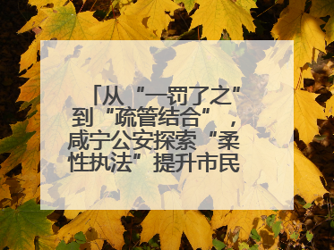 从“一罚了之”到“疏管结合”，咸宁公安探索“柔性执法”提升市民出行体验