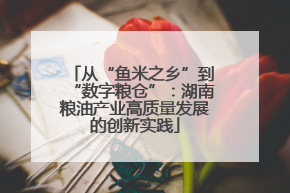 从“鱼米之乡”到“数字粮仓”：湖南粮油产业高质量发展的创新实践
