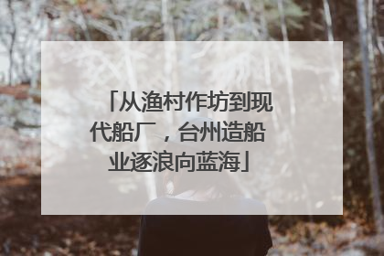 从渔村作坊到现代船厂，台州造船业逐浪向蓝海