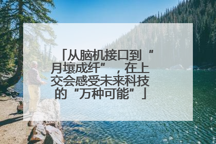 从脑机接口到“月壤成纤”，在上交会感受未来科技的“万种可能”