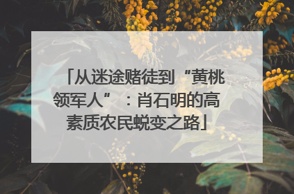 从迷途赌徒到“黄桃领军人”：肖石明的高素质农民蜕变之路
