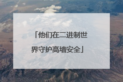 他们在二进制世界守护高墙安全