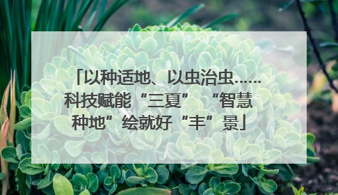 以种适地、以虫治虫……科技赋能“三夏” “智慧种地”绘就好“丰”景