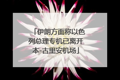 伊朗方面称以色列总理专机已离开本-古里安机场