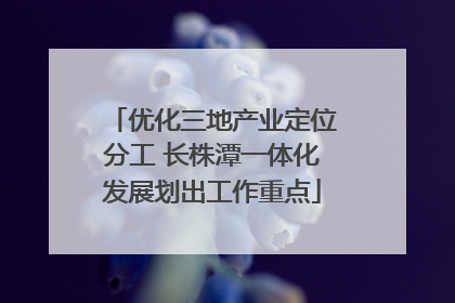 优化三地产业定位分工 长株潭一体化发展划出工作重点