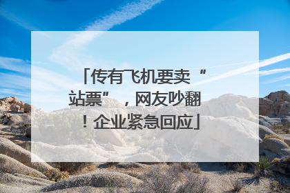 传有飞机要卖“站票”，网友吵翻！企业紧急回应