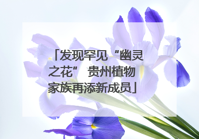 发现罕见“幽灵之花” 贵州植物家族再添新成员