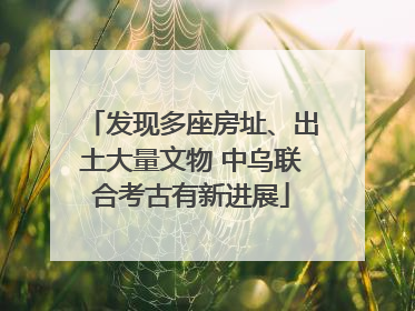 发现多座房址、出土大量文物 中乌联合考古有新进展