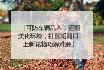 可防车辆乱入，还能美化环境，社区胡同口上新花箱巧解难题