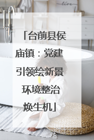 台前县侯庙镇：党建引领绘新景 环境整治焕生机