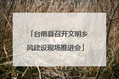 台前县召开文明乡风建设现场推进会