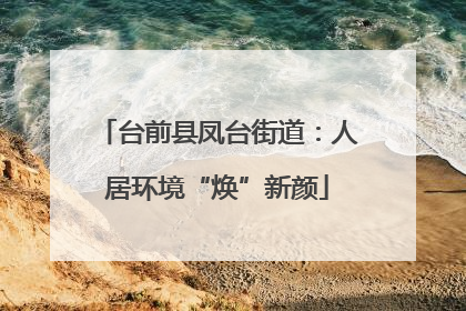 台前县凤台街道：人居环境“焕”新颜