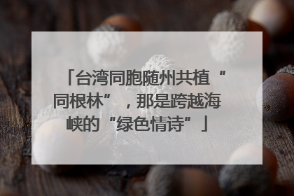 台湾同胞随州共植“同根林”，那是跨越海峡的“绿色情诗”