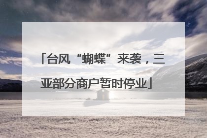 台风“蝴蝶”来袭，三亚部分商户暂时停业
