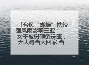 台风“蝴蝶”携较强风雨影响三亚：一女子被树砸倒送医，无大碍当天回家 当地已紧急清障