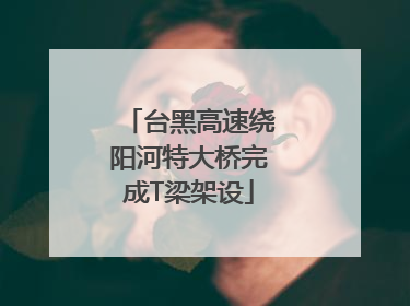 台黑高速绕阳河特大桥完成T梁架设