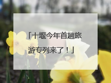 十堰今年首趟旅游专列来了！