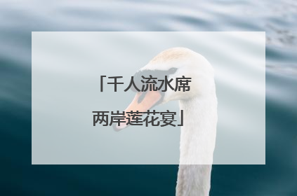 千人流水席 两岸莲花宴
