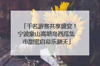 千名游客共享盛宴！宁波象山高塘岛西瓜集市甜蜜启幕乐翻天