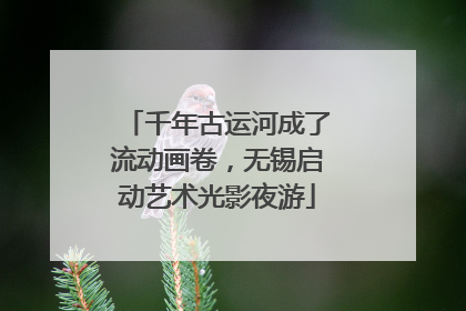 千年古运河成了流动画卷，无锡启动艺术光影夜游