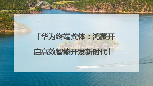 华为终端龚体：鸿蒙开启高效智能开发新时代