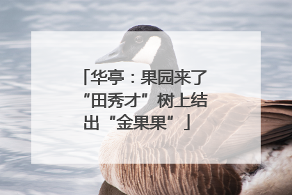 华亭：果园来了“田秀才”树上结出“金果果”