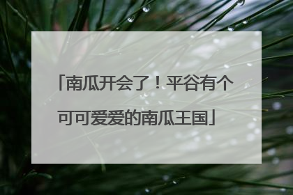 南瓜开会了！平谷有个可可爱爱的南瓜王国