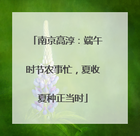 南京高淳：端午时节农事忙，夏收夏种正当时