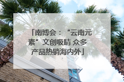 南博会：“云南元素”文创吸睛 众多产品热销海内外