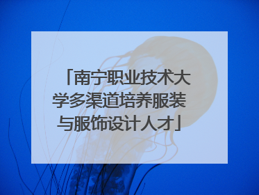 南宁职业技术大学多渠道培养服装与服饰设计人才