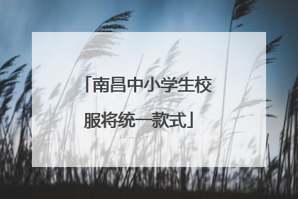南昌中小学生校服将统一款式