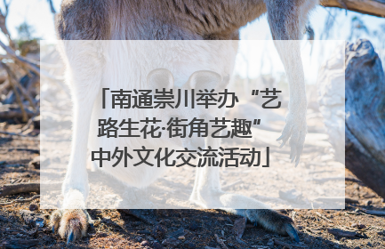 南通崇川举办“艺路生花·街角艺趣”中外文化交流活动