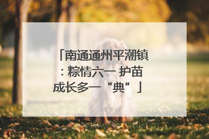 南通通州平潮镇：粽情六一 护苗成长多一“典”