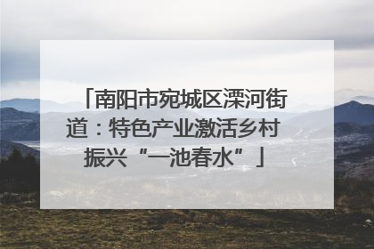 南阳市宛城区溧河街道：特色产业激活乡村振兴“一池春水”