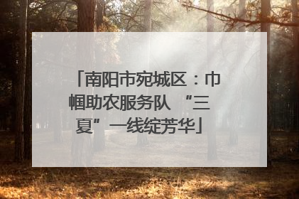 南阳市宛城区：巾帼助农服务队 “三夏”一线绽芳华
