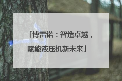 博雷诺：智造卓越，赋能液压机新未来