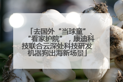 去国外“当球童”、“看家护院”，康迪科技联合云深处科技研发机器狗出海新场景