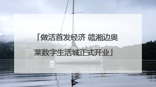 做活首发经济 赣湘边奥莱数字生活城正式开业