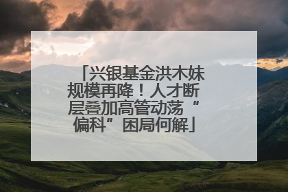兴银基金洪木妹规模再降！人才断层叠加高管动荡“偏科”困局何解