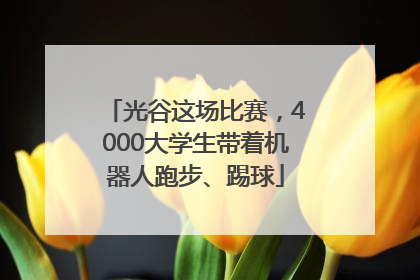 光谷这场比赛，4000大学生带着机器人跑步、踢球