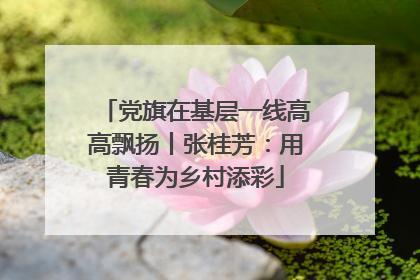 党旗在基层一线高高飘扬丨张桂芳：用青春为乡村添彩