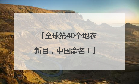 全球第40个地衣新目，中国命名！