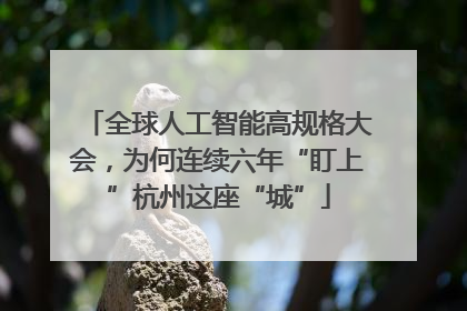 全球人工智能高规格大会，为何连续六年“盯上”杭州这座“城”