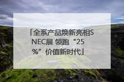全系产品焕新亮相SNEC展 领跑“25%”价值新时代
