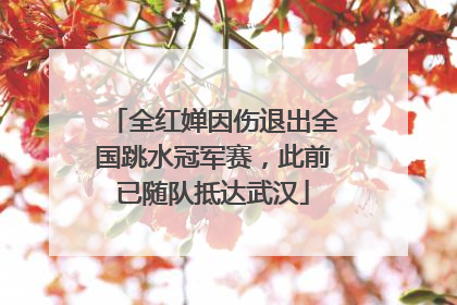 全红婵因伤退出全国跳水冠军赛，此前已随队抵达武汉